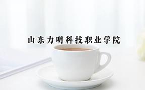 山东力明科技职业学院2024在重庆录取分数线是多少？最低308分/最高419分