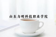 山东力明科技职业学院2024在重庆录取分数线是多少？最低308分/最高419分