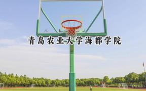 青岛农业大学海都学院2024在河北录取分数线是多少？最低205分/最高496分