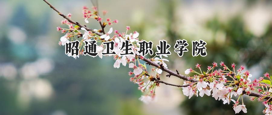 昭通卫生职业学院