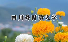 2024四川外国语大学录取分数线：江苏最低527分