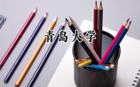 2024青岛大学录取分数线：山西最低507分