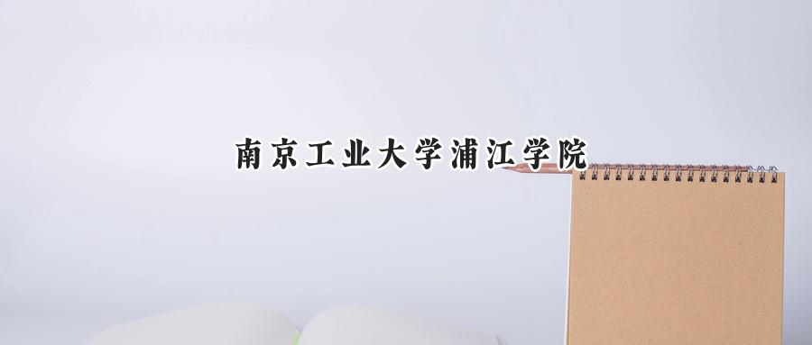 南京工业大学浦江学院