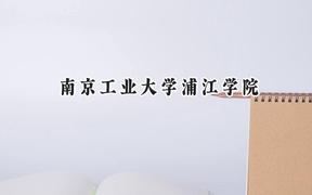 南京工业大学浦江学院2024在重庆录取分数线是多少？最低451分/最高491分