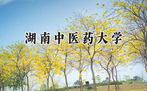 2024湖南中医药大学录取分数线：天津最低533分