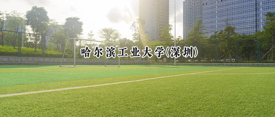 哈尔滨工业大学(深圳)