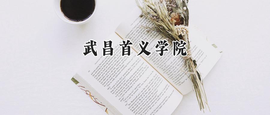 2024武昌首义学院录取分数线：江苏最低341分-第1张图片-索考网