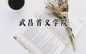 2024武昌首义学院录取分数线：江苏最低341分