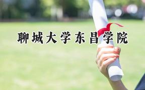 聊城大学东昌学院2024在贵州录取分数线是多少？最低409分/最高469分