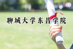 聊城大学东昌学院2024在贵州录取分数线是多少？最低409分/最高469分