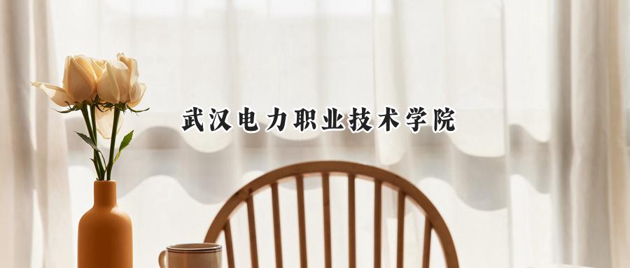 武漢電力職業(yè)技術(shù)學(xué)院