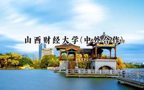 2024山西财经大学(中外合作)录取分数线：山西最低486分