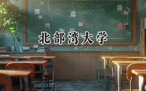 2024北部湾大学录取分数线：江苏最低480分