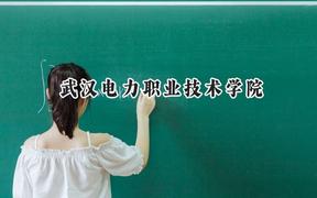 武汉电力职业技术学院2024在贵州录取分数线是多少？最低409分/最高452分