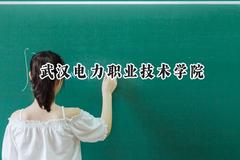 武汉电力职业技术学院2024在贵州录取分数线是多少？最低409分/最高452分