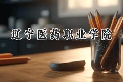 辽宁医药职业学院2024在内蒙古录取分数线是多少？最低271分/最高376分