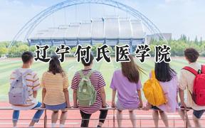 2024辽宁何氏医学院录取分数线：山西最低247分