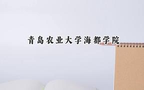 青岛农业大学海都学院2024在内蒙古录取分数线是多少？最低364分/最高410分