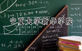 2024宁夏大学新华学院录取分数线：江苏最低463分