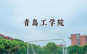 青岛工学院2024在天津录取分数线是多少？最低475分/最高485分