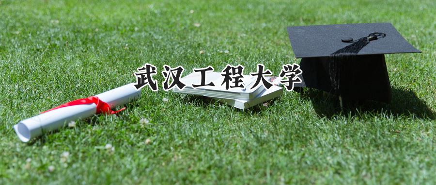 武汉工程大学