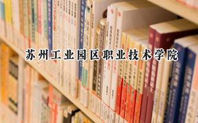 苏州工业园区职业技术学院2024在江苏录取分数线是多少？最低262分/最高403分