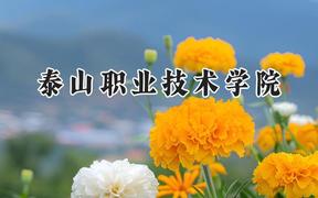 泰山职业技术学院2024在贵州录取分数线是多少？最低231分/最高417分