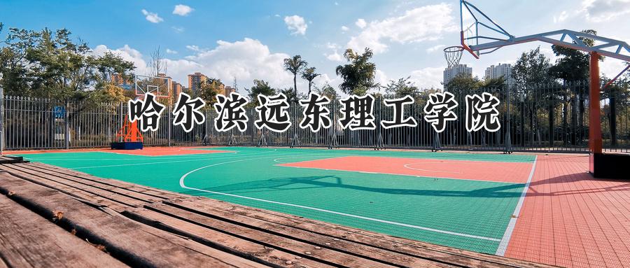 哈尔滨远东理工学院