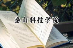 泰山科技学院2024在内蒙古录取分数线是多少？最低175分/最高389分