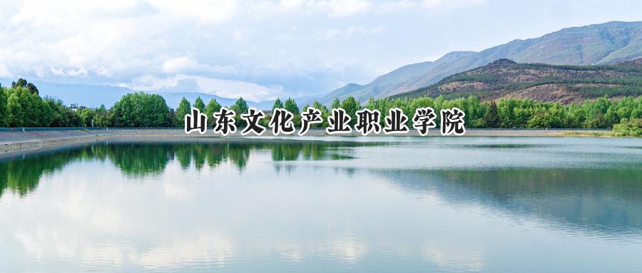 山东文化产业职业学院