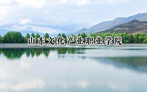 2024山东文化产业职业学院录取分数线：天津最低127分