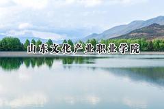 2024山东文化产业职业学院录取分数线：天津最低127分