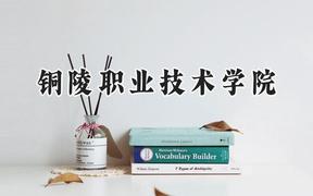 铜陵职业技术学院2024在河北录取分数线是多少？最低363分/最高454分