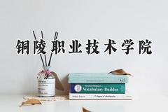 铜陵职业技术学院2024在河北录取分数线是多少？最低363分/最高454分