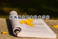2024陕西航空职业技术学院录取分数线：宁夏最低340分