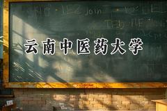 云南中医药大学2024在山西录取分数线是多少？最低469分/最高521分