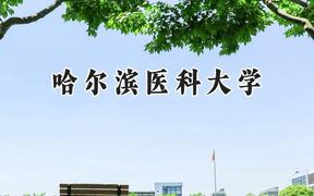 2024哈尔滨医科大学录取分数线：天津最低528分