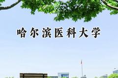 2024哈尔滨医科大学录取分数线：天津最低528分