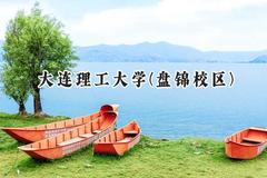 2024大连理工大学(盘锦校区)录取分数线：新疆最低517分
