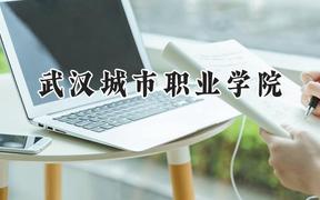 2024武汉城市职业学院录取分数线：山西最低343分