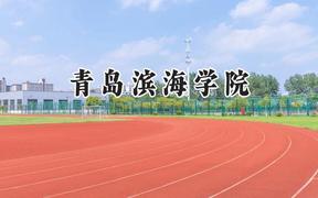 青岛滨海学院2024在山西录取分数线是多少？最低391分/最高414分
