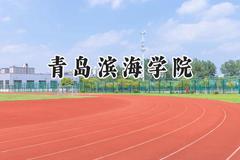 青岛滨海学院2024在山西录取分数线是多少？最低391分/最高414分