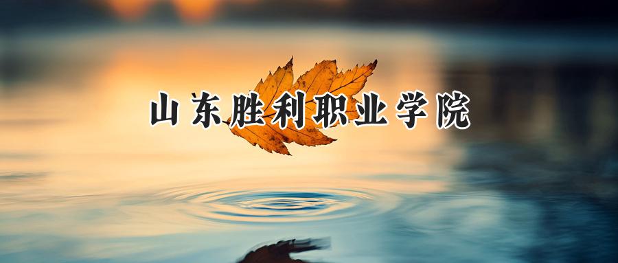2024山东胜利职业学院录取分数线：江苏最低291分-第1张图片-索考网