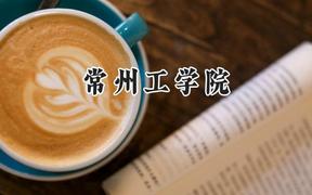 常州工学院2024在江苏录取分数线是多少？最低459分/最高540分