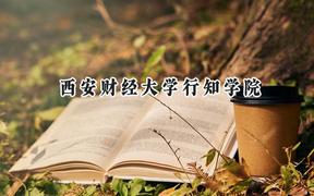 西安财经大学行知学院2024在浙江录取分数线是多少？最低501分/最高545分