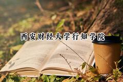 西安财经大学行知学院2024在浙江录取分数线是多少？最低501分/最高545分