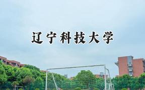 辽宁科技大学2024在内蒙古录取分数线是多少？最低389分/最高532分
