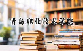 2024青岛职业技术学院录取分数线：宁夏最低320分