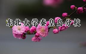 东北大学秦皇岛分校2024在江苏录取分数线是多少？最低596分/最高634分