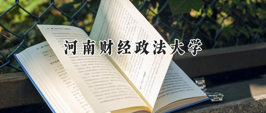 河南财经政法大学